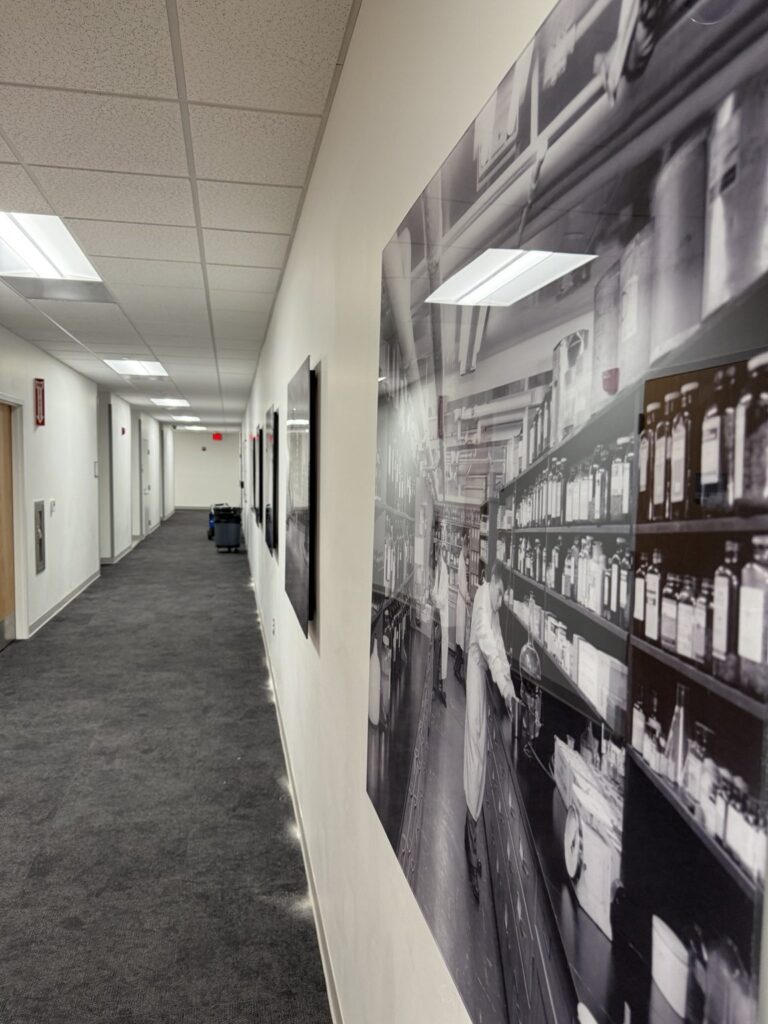 Close perspective of large black-and-white laboratory photo panel mounted on a corridor wall at a Detroit medical building.